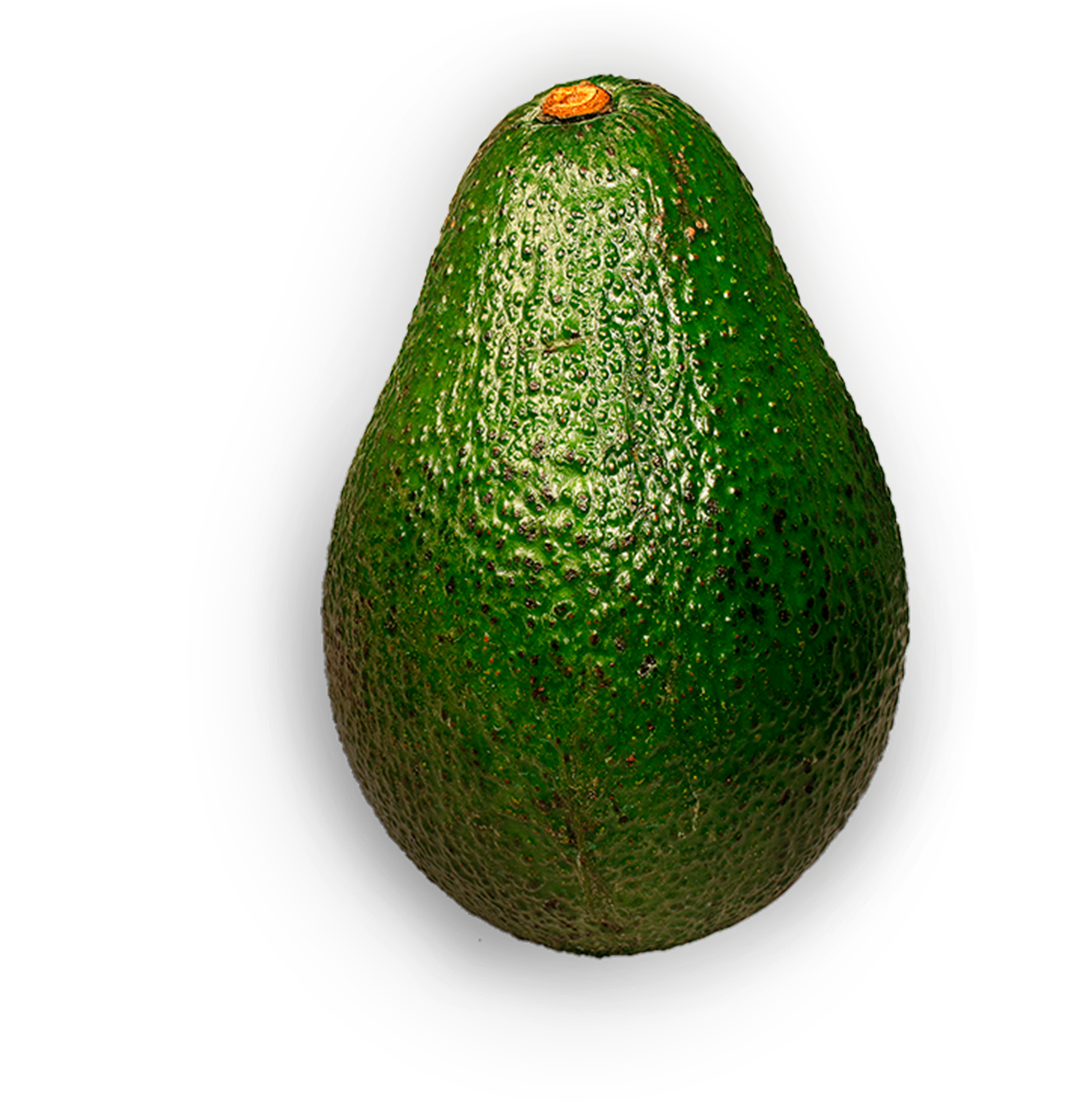 Aguacate solo