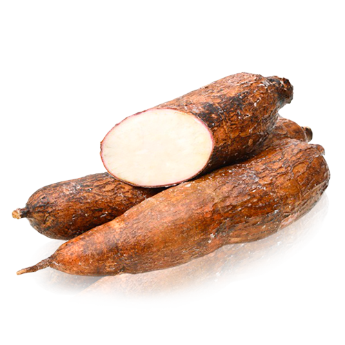 Yuca solo